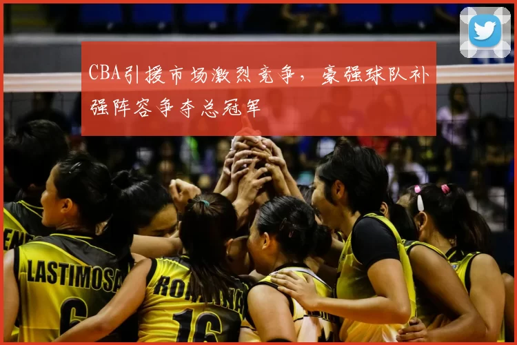 CBA引援市场激烈竞争，豪强球队补强阵容争夺总冠军