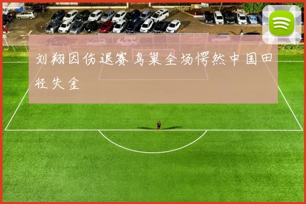 刘翔因伤退赛鸟巢全场愕然中国田径失金