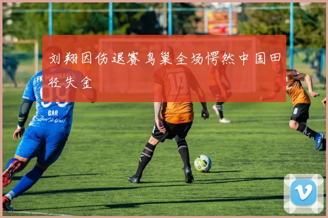 刘翔因伤退赛鸟巢全场愕然中国田径失金