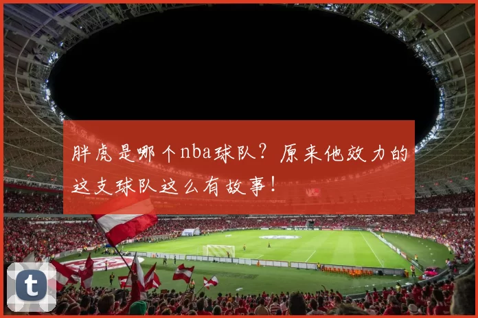 胖虎是哪个nba球队?原来他效力的这支球队这么有故事!