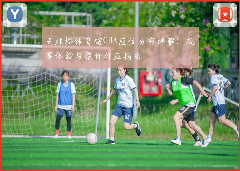 五棵松体育馆CBA座位分布详解：观赛体验与票价对应指南