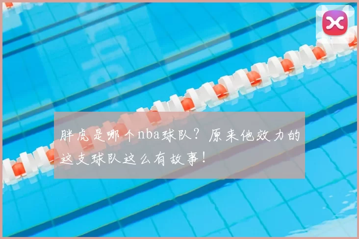 胖虎是哪个nba球队?原来他效力的这支球队这么有故事!