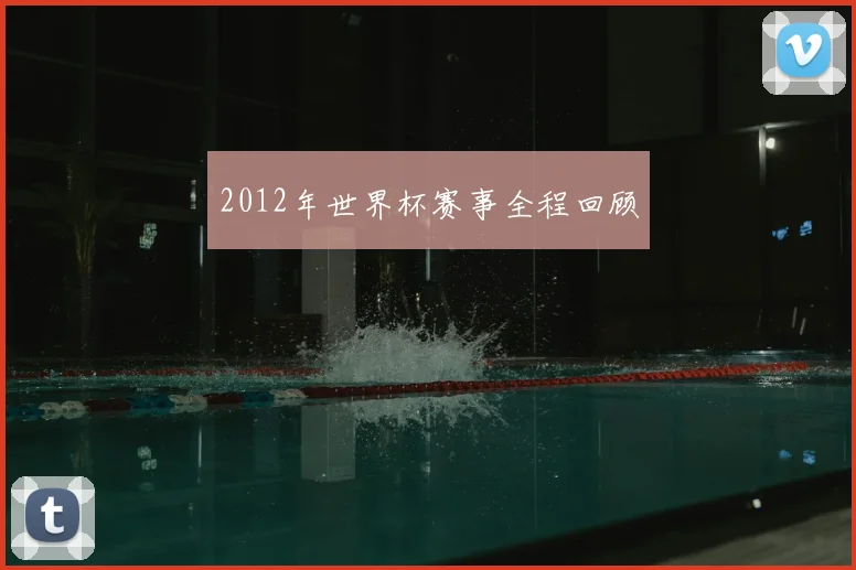 2012年世界杯赛事全程回顾