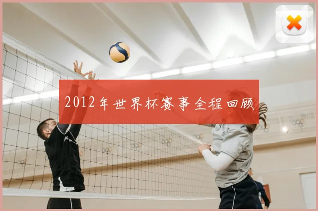 2012年世界杯赛事全程回顾